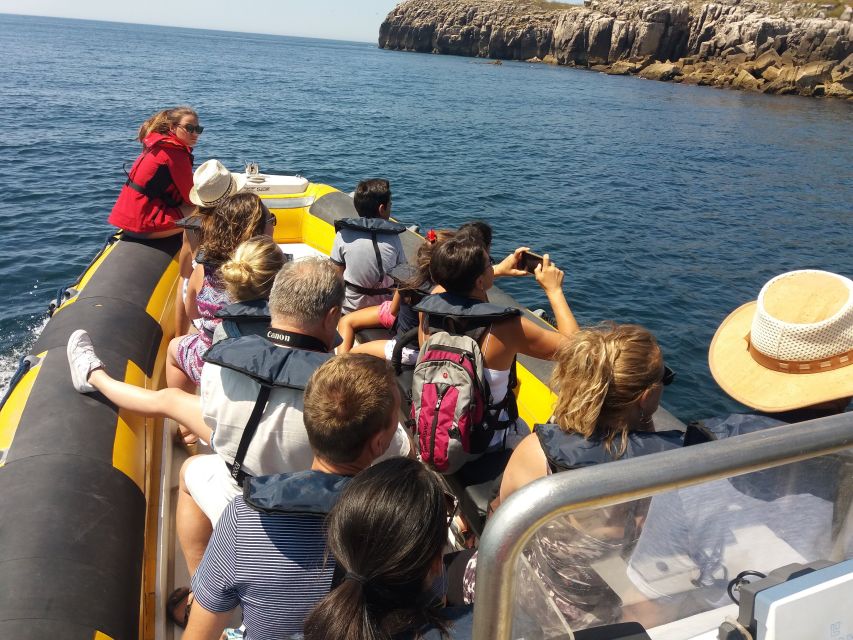 Peniche: Dolphin Route Boat Trip - What the guide adds to the outing
