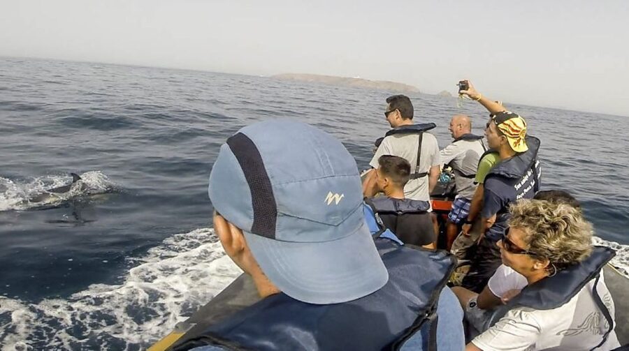 Peniche: Dolphin Route Boat Trip - Who should book this Peniche boat trip?