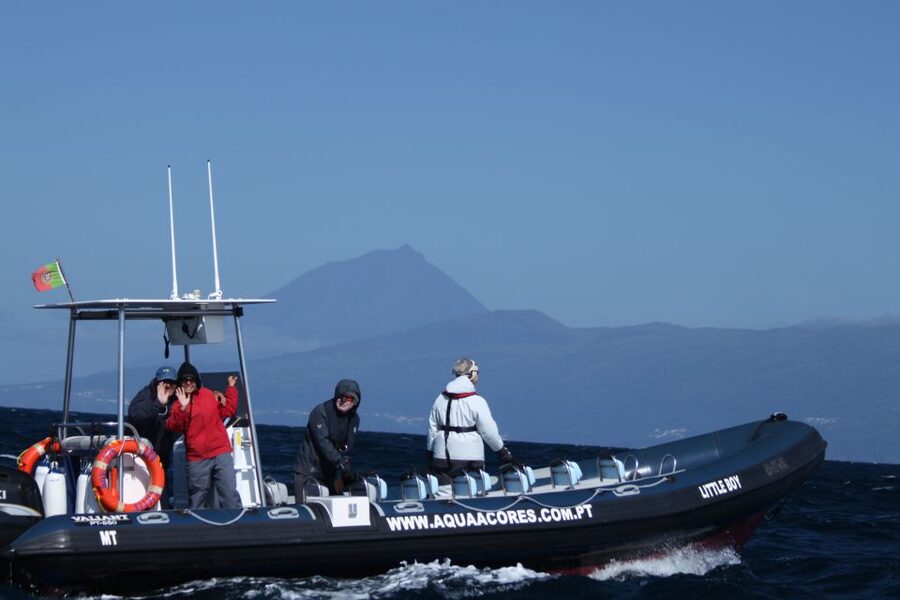 Pico Island: Azores Whale & Dolphin Watching on Zodiac Boat - Ten minutes of safety, then open water