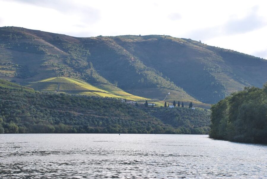 Pinhão: 2-Hour Rabelo Boat Tour with Audio Guide - The return past Quinta do Roriz and Pessegueiro