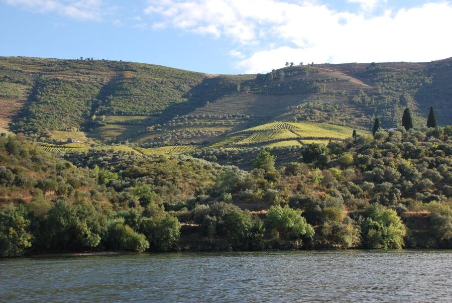 Pinhão: 2-Hour Rabelo Boat Tour with Audio Guide - Quinta do Ventozelo and Quinta das Carvalhas