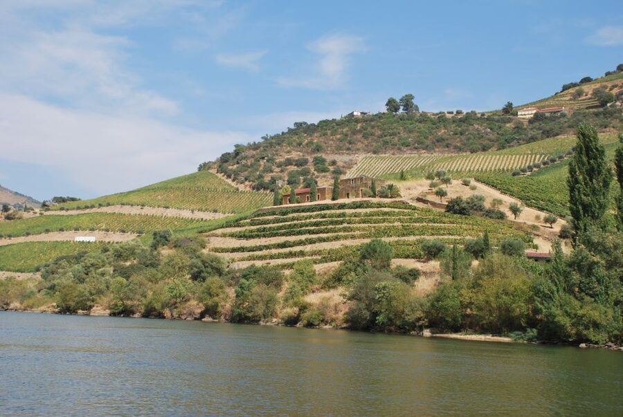 Pinhão: 2-Hour Rabelo Boat Tour with Audio Guide - Quinta do Bomfim to Quinta da Roeda