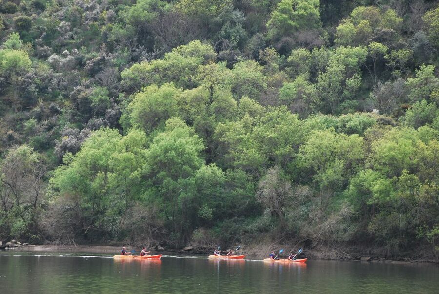 Pinhão: 4 Hour Douro Valley Kayak Rental - Four hours between vineyards and hillsides