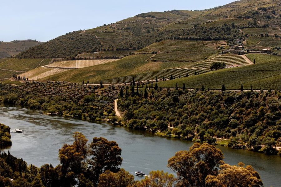 Pinhão: Douro River Boat Tour with Lunch - Lunch in the Douro wine country