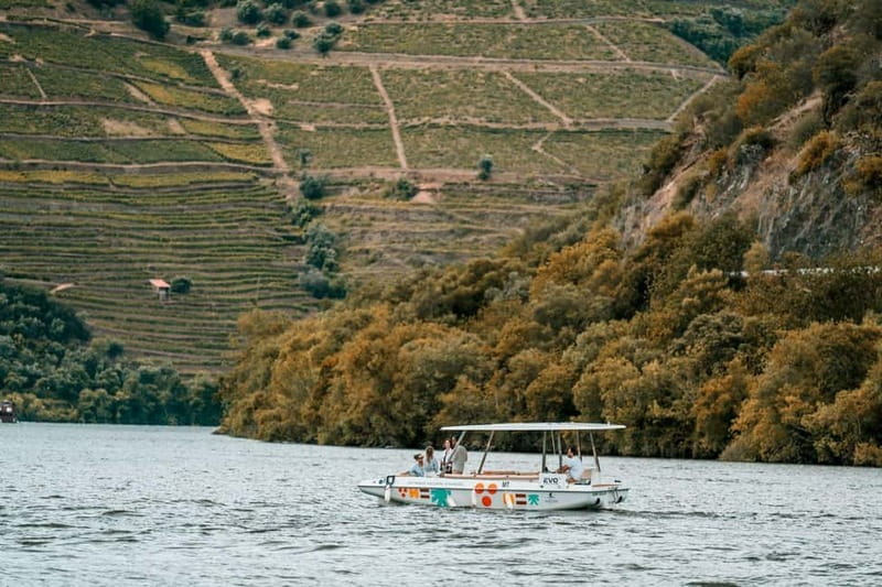 Pinhão: Douro River Solar Boat Tour with Wine Tasting - How it compares with a larger river cruise
