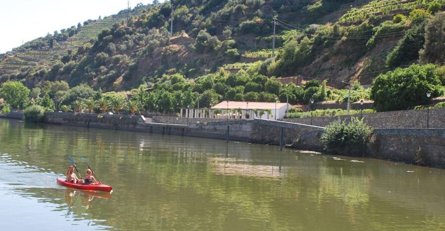 Pinhão: Douro Valley Rabelo Boat Tour and Kayak Experience - Paddling 12 kilometers back to Pinhão