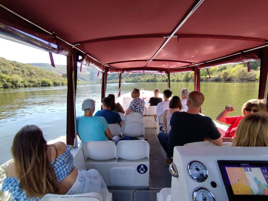 Pinhão: Douro Valley with Wine Tasting, Boat Trip and Lunch - Pace, comfort, and mobility