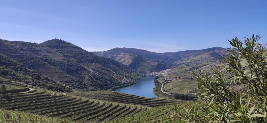 Pinhão: Douro Valley with Wine Tasting, Boat Trip and Lunch - Why this tour works for a first day in the Douro
