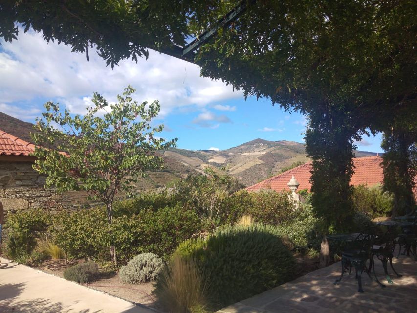 Pinhão: Douro Valley with Wine Tasting, Boat Trip and Lunch - Second winery: more wine, more Douro context