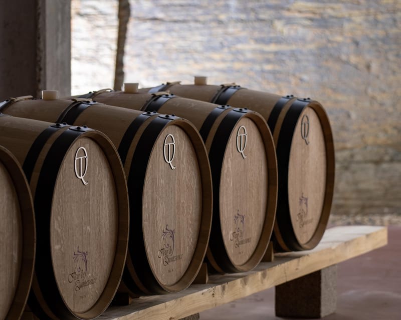 Pinhão: Quinta da Formigosa Vineyard Tour and Wine Tasting - The guides make the difference