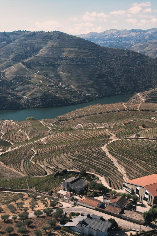 Pinhão: Quinta da Formigosa Vineyard Tour and Wine Tasting - Is $35 a fair price?