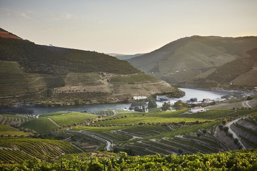 Pinhão: Quinta do Bomfim Visit and Tasting - Key points to know before you go