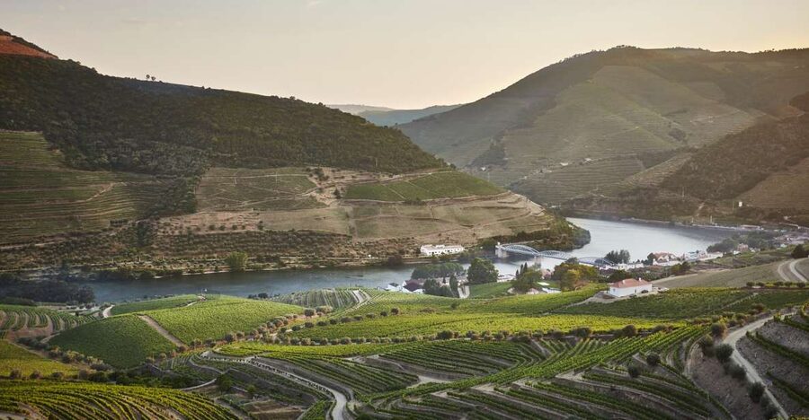 Pinhão: Quinta do Bomfim Visit and Tasting - Why Quinta do Bomfim makes a good Douro wine stop
