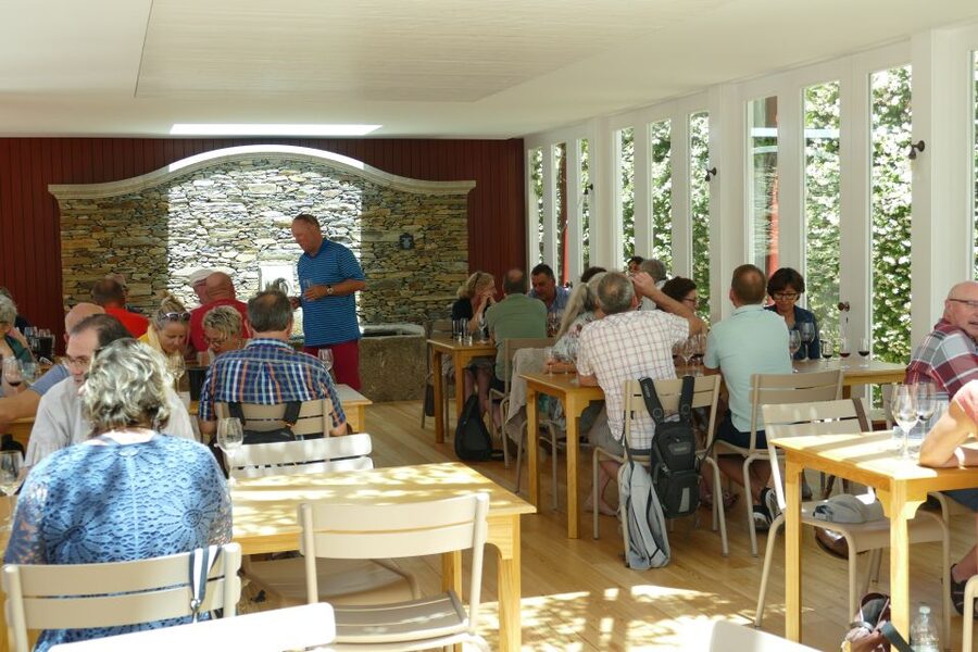 Pinhão: Quinta do Bomfim Visit and Tasting - Three vineyard walks, each with a different view