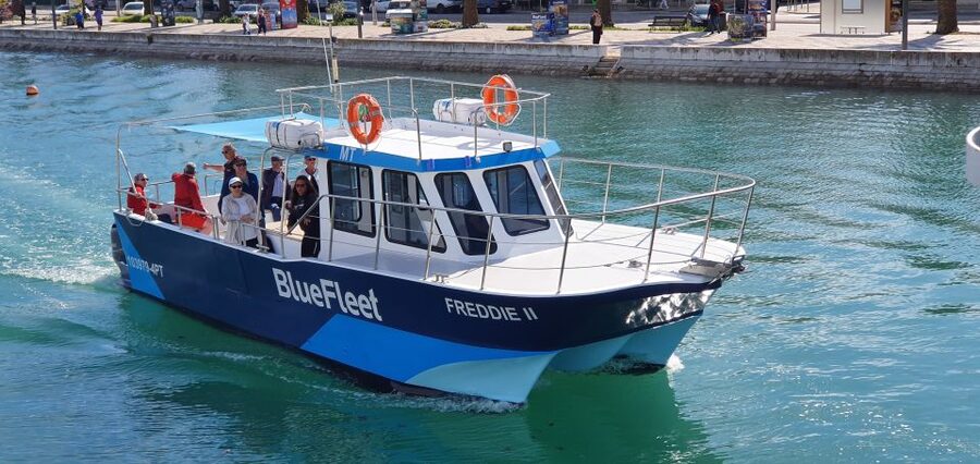 Ponta da Piedade: Half-Day Cruise with Lunch from Lagos - Key points at a glance