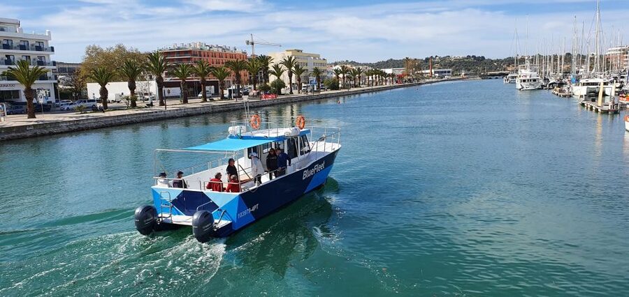 Ponta da Piedade: Half-Day Cruise with Lunch from Lagos - Lunch with Portuguese flavors