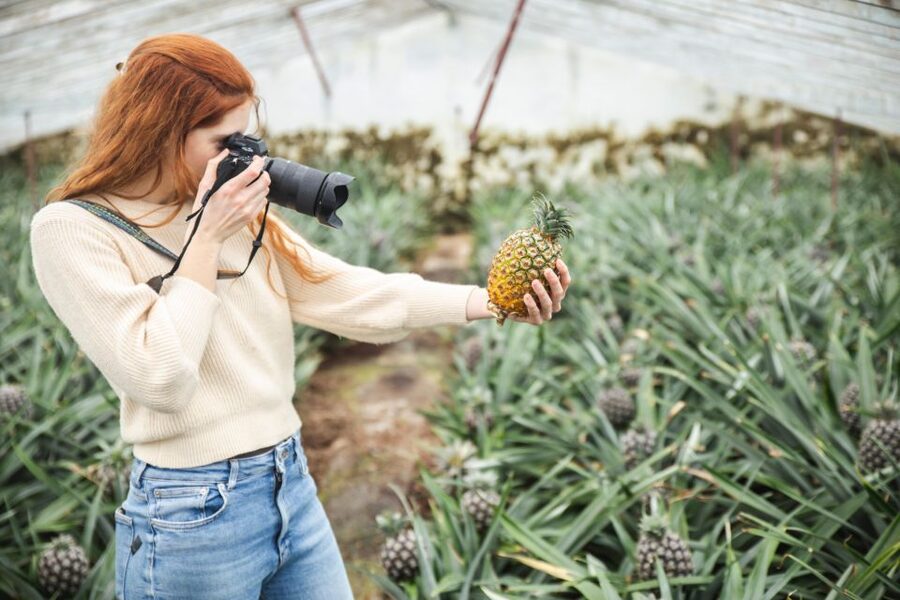 Ponta Delgada: Greenhouse Hot Tube with Pineapple Tour - Learning how Azorean pineapples are grown