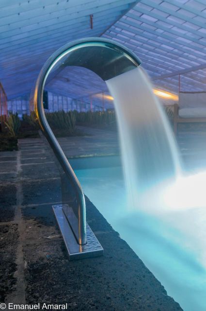 Ponta Delgada: Greenhouse Hot Tube with Pineapple Tour - Is $41 a fair price?