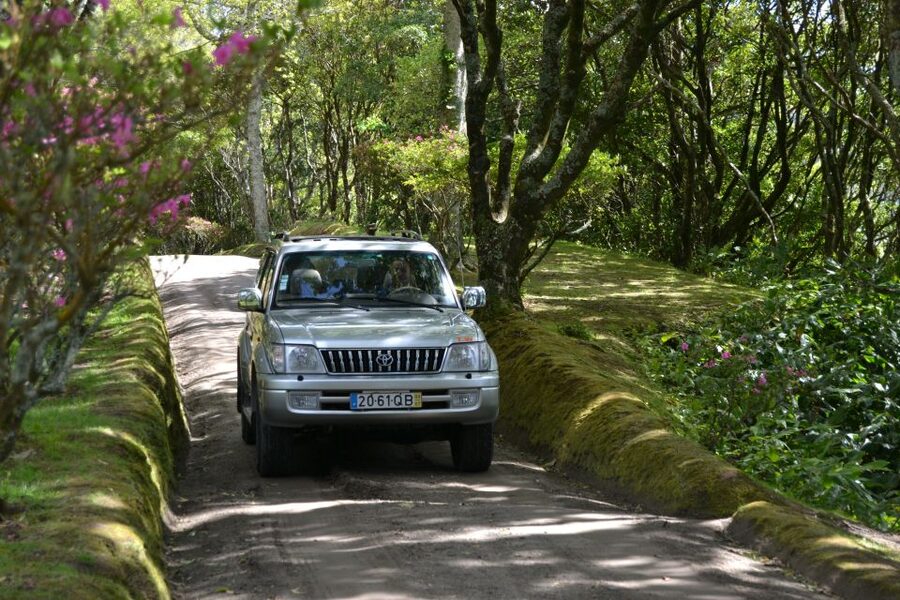 Ponta Delgada: Half-Day 4x4 Sete Cidades Trip - Key points to know before you book