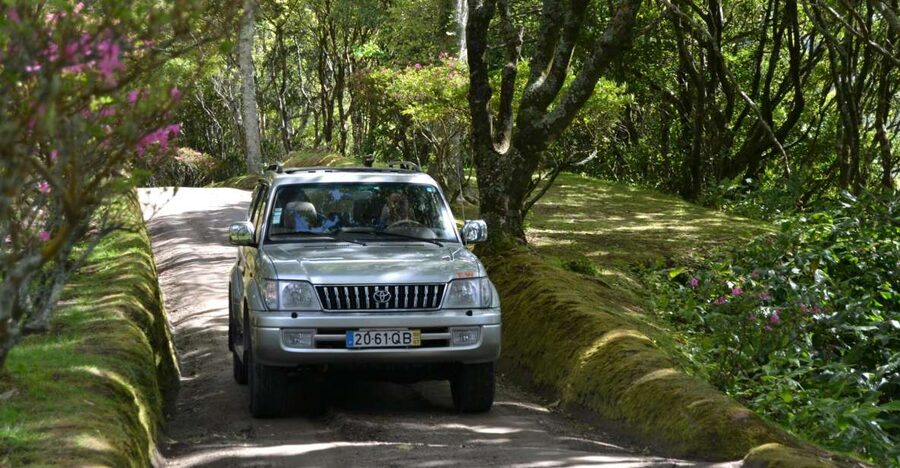 Ponta Delgada: Half-Day 4x4 Sete Cidades Trip - From your Ponta Delgada hotel to the crater