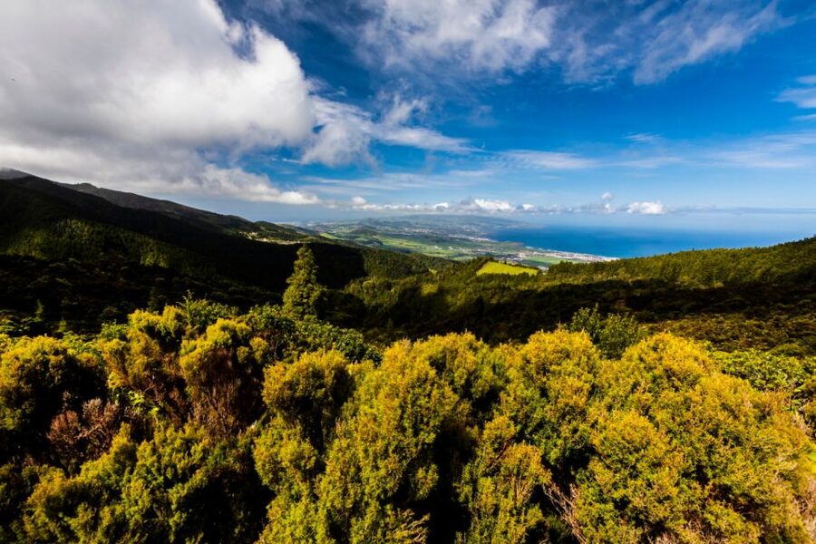 Ponta Delgada: Hidden Gems of São Miguel Full-Day Van Tour - Why this São Miguel tour feels different