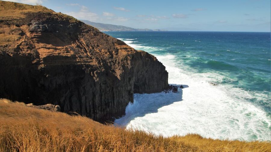 Ponta Delgada: Hidden Gems of São Miguel Full-Day Van Tour - The guide can make or break the day