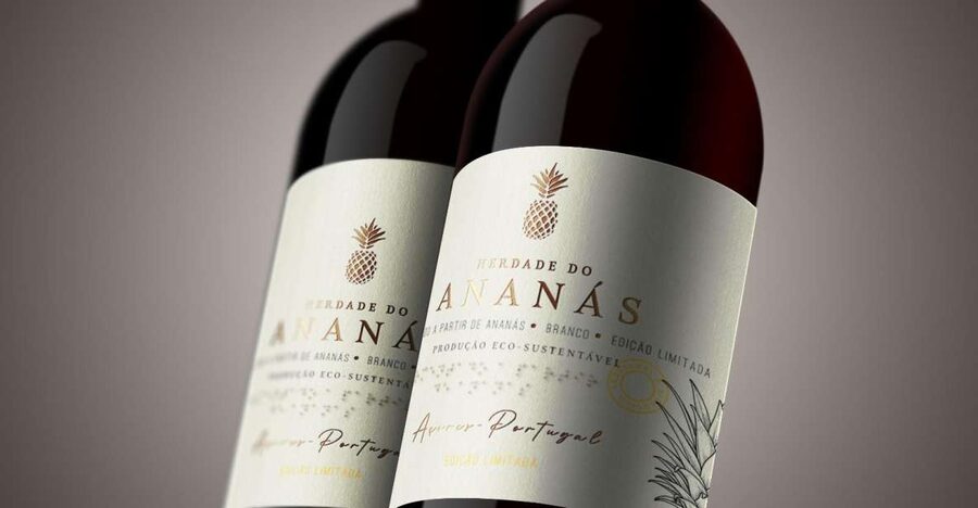 Ponta Delgada: Pineapple wine tasting and pineapple tour - Walking through the Herdade do Ananás greenhouses