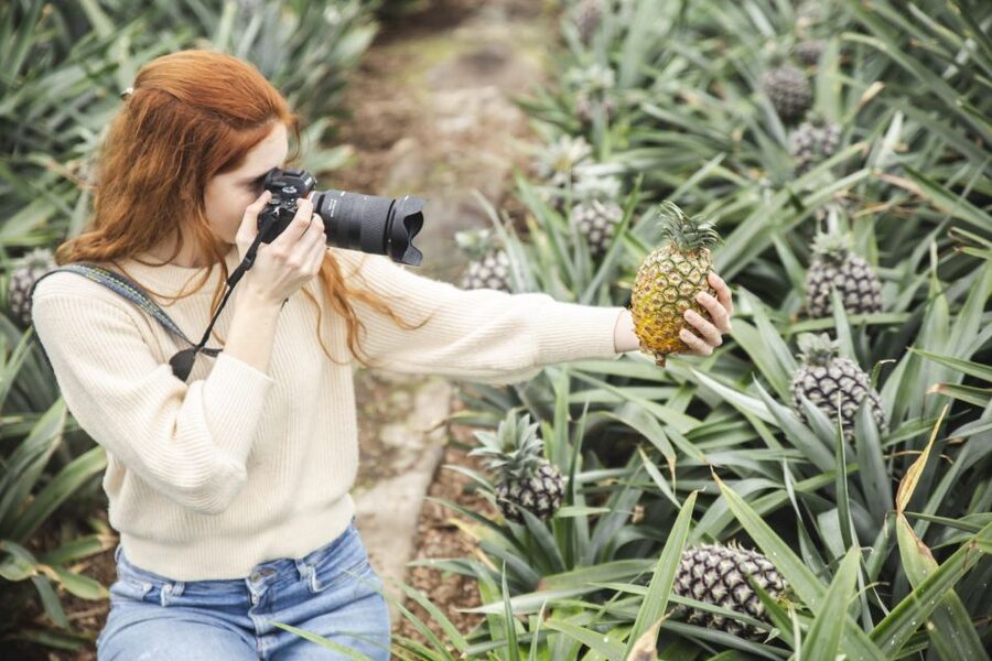 Ponta Delgada: Pineapple wine tasting and pineapple tour - What you actually taste with the pineapple wine