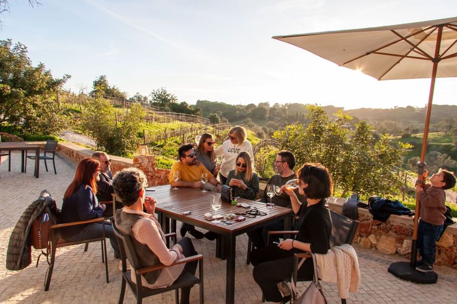 Porches: Algarve Vineyard Tour and Wine Tasting Experience - Key points at a glance