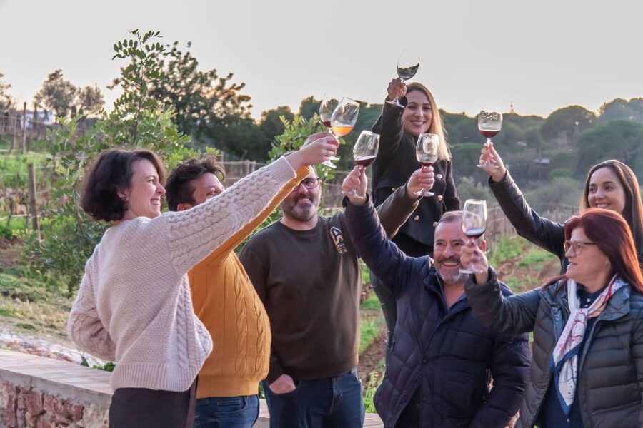 Porches: Algarve Vineyard Tour and Wine Tasting Experience - Who should book this experience?