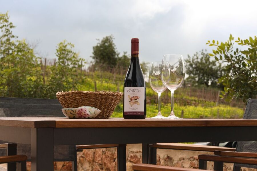 Porches: Algarve Vineyard Tour and Wine Tasting Experience - Four wines, with room to compare
