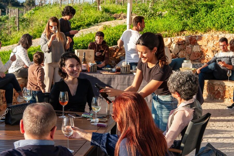 Porches: Algarve Vineyard Tour and Wine Tasting Experience - Tapas that make the $91 price easier to justify