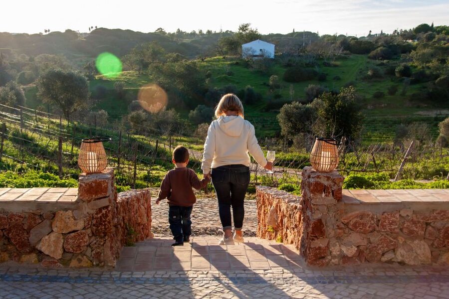 Porches: Algarve Vineyard Tour and Wine Tasting Experience - What the 90-minute schedule is really like