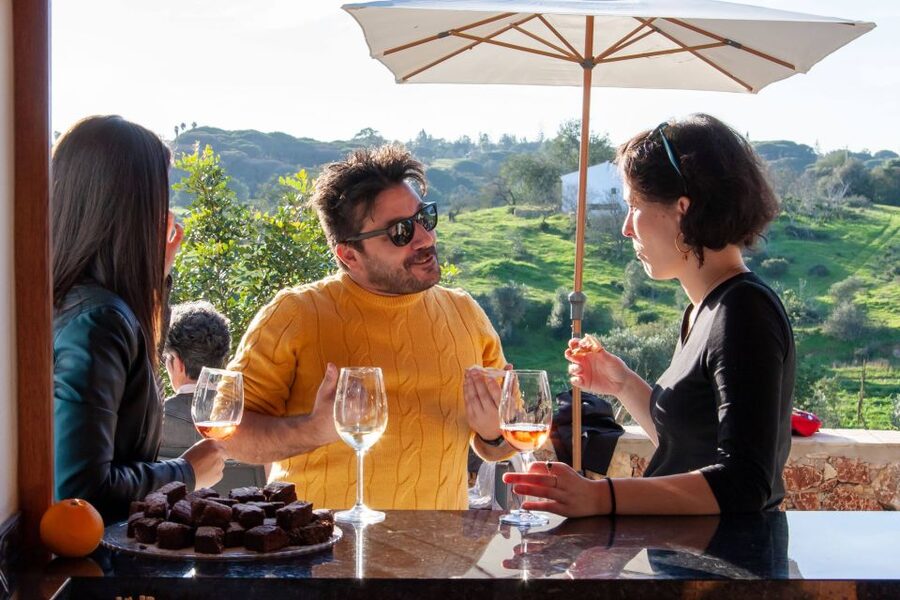 Porches: Algarve Vineyard Tour and Wine Tasting Experience - Is $91 per person good value?