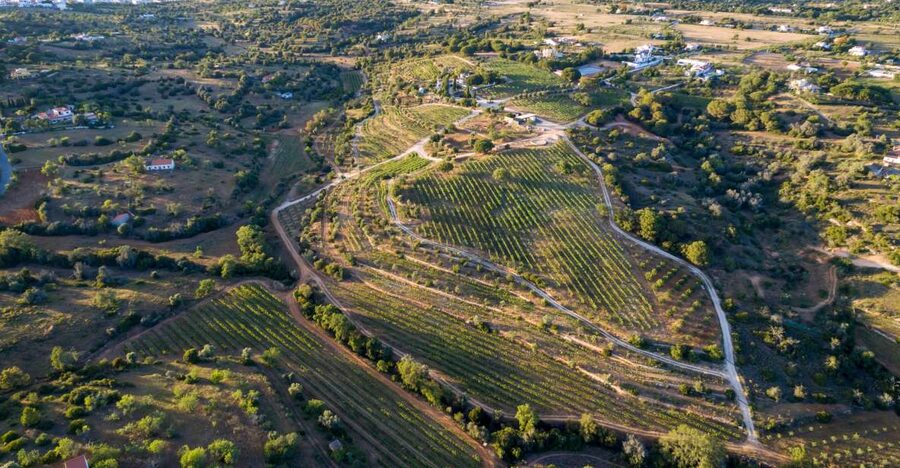 Porches: Algarve Vineyard Tour and Wine Tasting Experience - Arriving at Quinta dos Capinhas near Porches