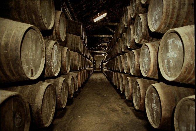 Port Wine Lodges Tour Including 7 Port Wine Tastings (English) - Why this tour works for first-time Port drinkers