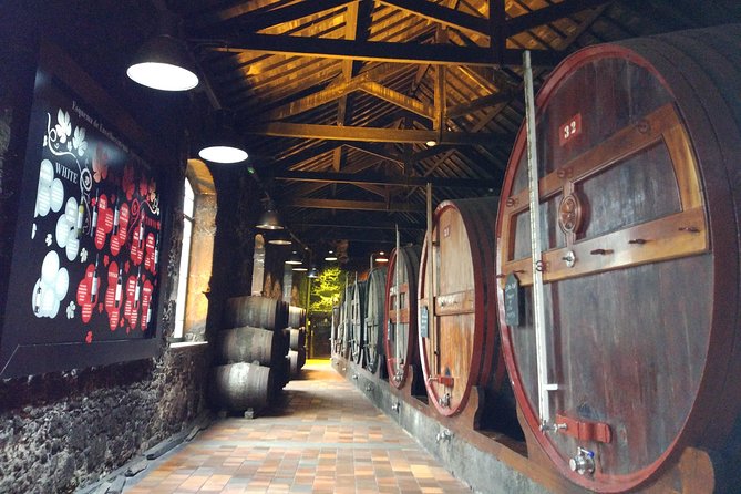 Port Wine Lodges Tour Including 7 Port Wine Tastings (English) - The interactive Douro Valley center and tasting workshop