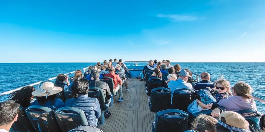 Portimão: Benagil Caves & Dolphins Watching with Biologist - The Algarve coast between Portimão and Marinha Beach