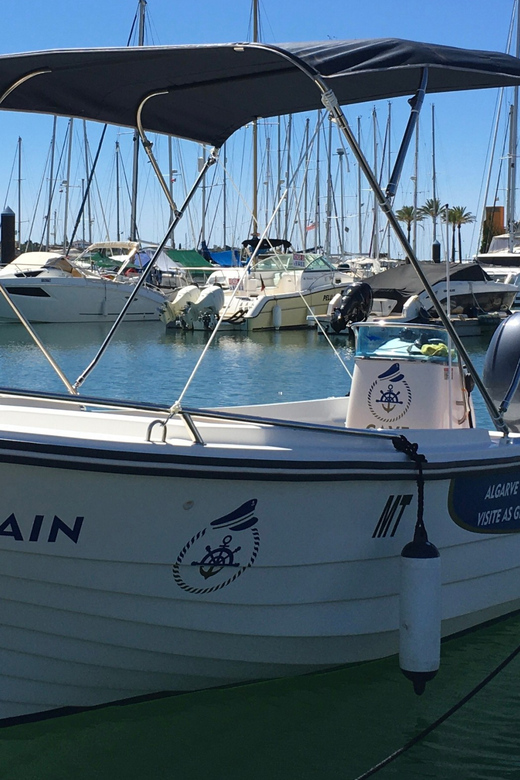 Portimão: Caves, Benagil and Algarve Coastline Boat Tour - Marinha Beach and the swimming stop