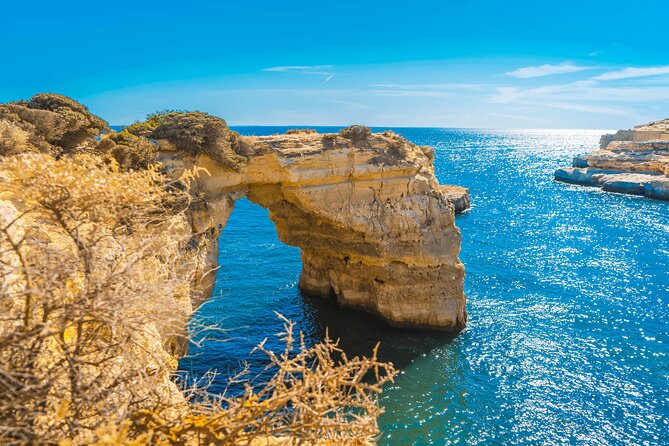 Portimão:Embark on Nature•Benagil and Dolphins•Biologist on board - Why the marine biologist changes the experience