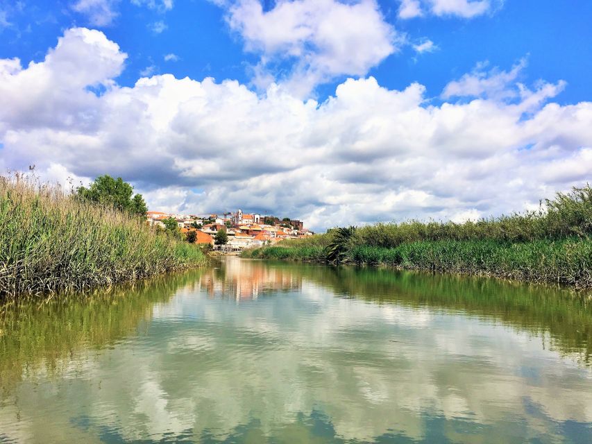 Portimão: Silves & Arade River History Tour on a Solar Boat - Who will enjoy this most