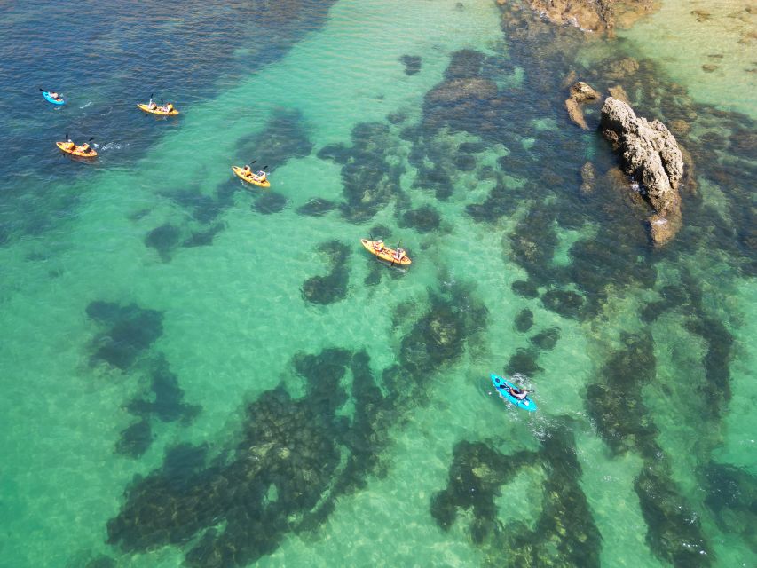 Portimão: Small Group Kayak Cave and Cliff Tour - Who should book this kayak tour