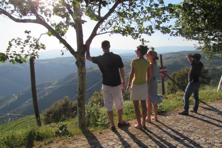 Porto: 3 Douro Valley Vineyards Tour with Lunch - Why this Douro Valley day works from Porto