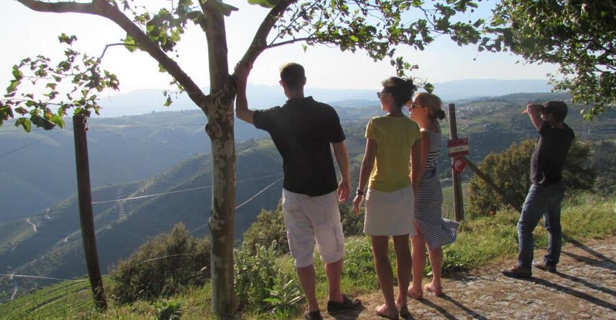 Porto: 3 Douro Valley Vineyards Tour with Lunch - The morning road to Sabrosa and the Douro