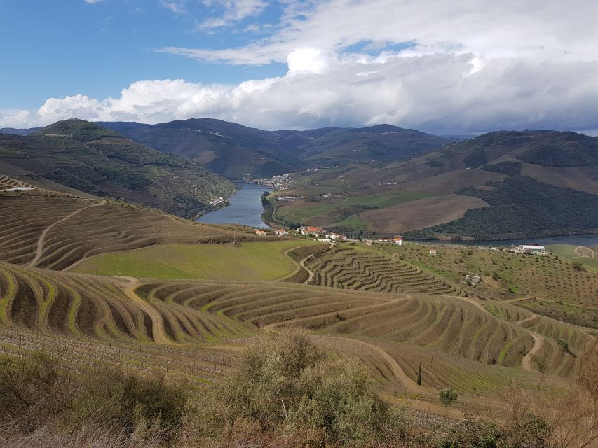 Porto: 3 Douro Valley Vineyards Tour with Lunch - Is $129 good value?