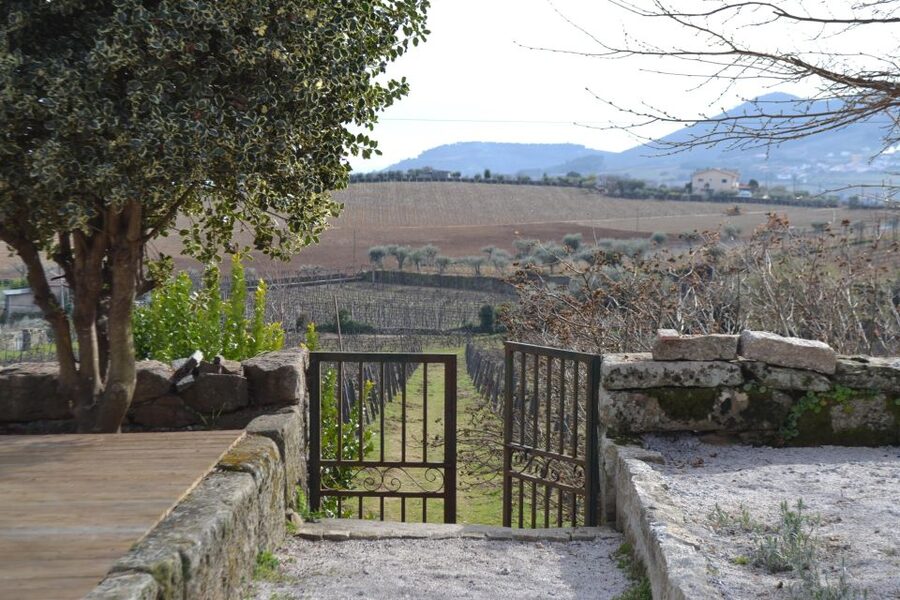 Porto: 3 Douro Valley Vineyards Tour with Lunch - Who should book this day trip?