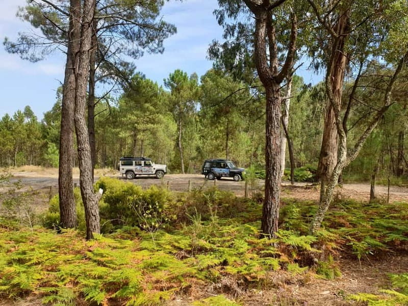 Porto: 4x4 Mountain Tour - Who will enjoy this Porto excursion most