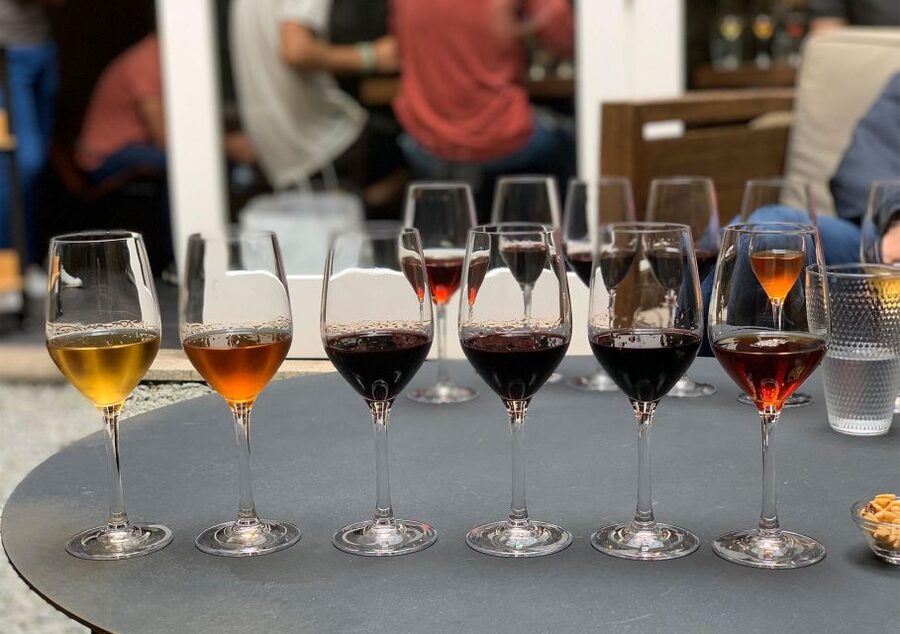 Porto: 5 Port Wine Tasting with Delicious Pairings - Group size, timing, and the pace of the visit