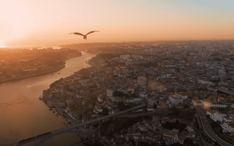 Porto: 5D Flight over de City for all family. - Why the central location helps