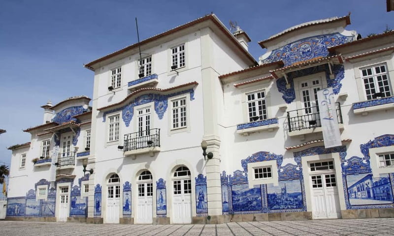 Porto:Aveiro, Cruise, Costa Nova & Capelha da Pedra Full Day - Who will enjoy this day trip most?